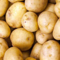 Uskladnění brambor