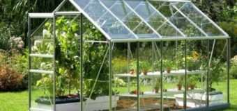 Jak umístit zeleninu ve skleníku?