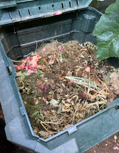 Kompost v kompostéru