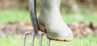 Zahradnické vidle: Jak vybrat správné vidle na zahradu a jak je používat